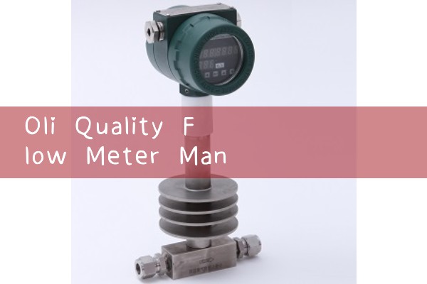 Oli Quality Flow Meter Manufacturer